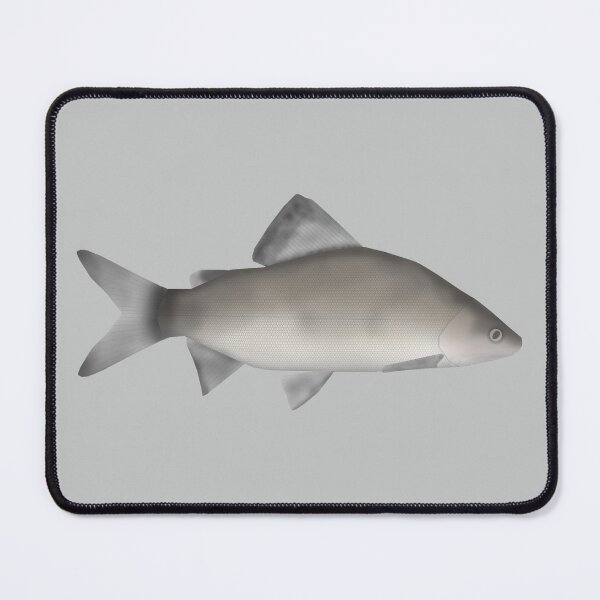 Item preview, Perch designed and sold by fishfolkart.