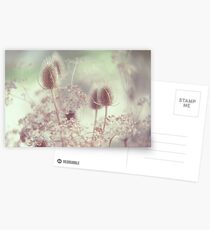 Icy Morning. Wild Grass Postcards