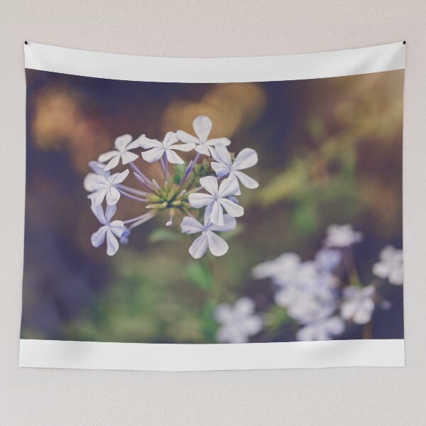 Item preview, flor delicada de color púrpura claro en el bosque designed and sold by Nebulae-Art.