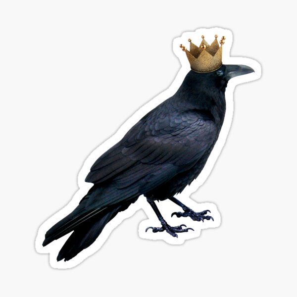 King Raven Sticker