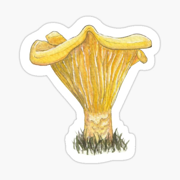 Item preview, Golden Chanterelle Mushroom designed and sold by RustyHen.