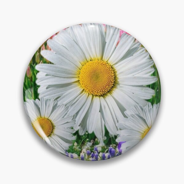 Item preview, WHITE SHASTA DAISY FLOWERS GARDEN ART designed and sold by sharlesart.