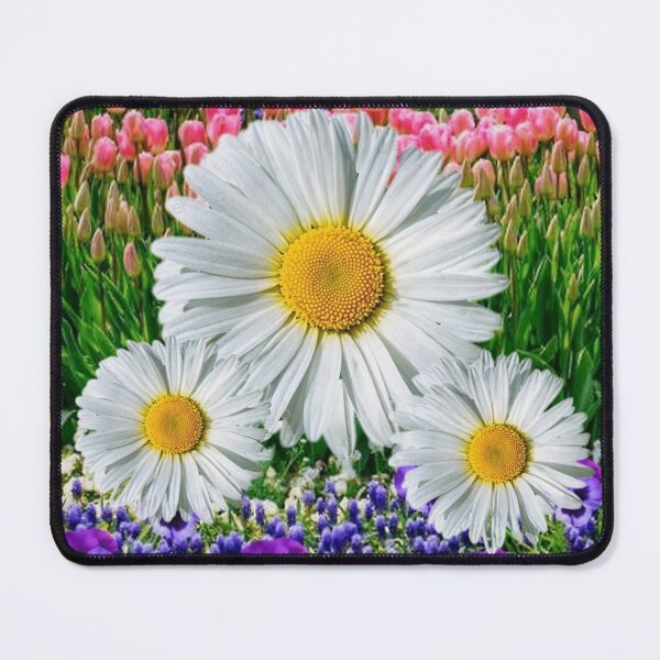 Item preview, WHITE SHASTA DAISY FLOWERS GARDEN ART designed and sold by sharlesart.