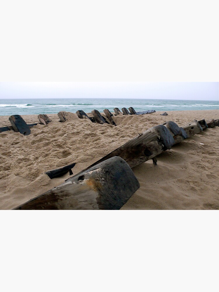 Cape Cod and the Islands Shipwrecks