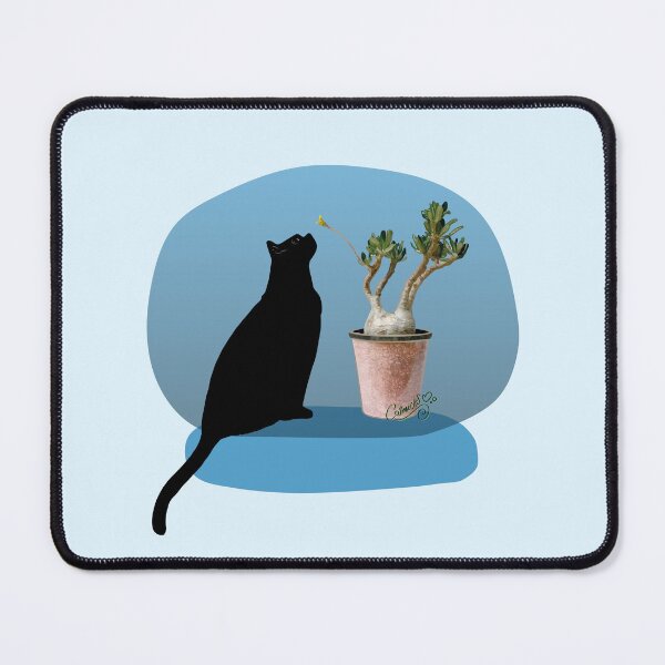 Item preview, Pachypodium rosulatum designed and sold by Cosmicks-art.