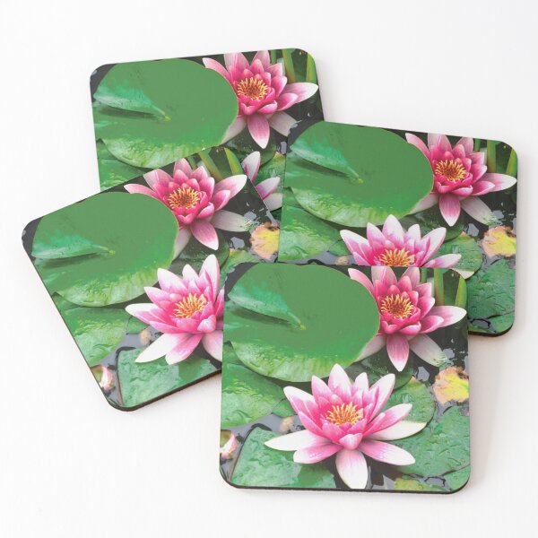Item preview, Pink waterlilies designed and sold by Shulie1.