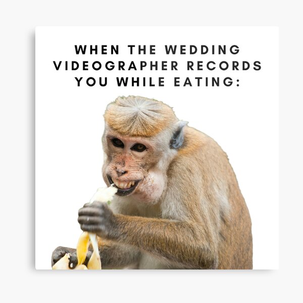 Monkey Memes: Monkey Memes, Jokes, and Pictures by Alexander