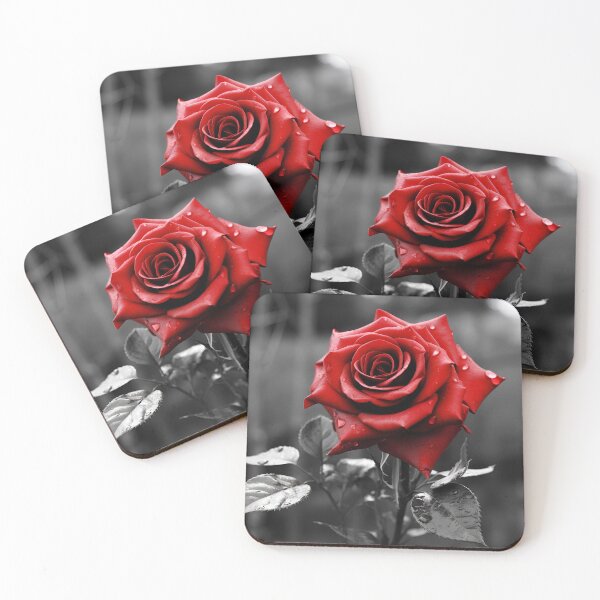Item preview, Gray scale photo with stunning red rose designed and sold by dcrc.