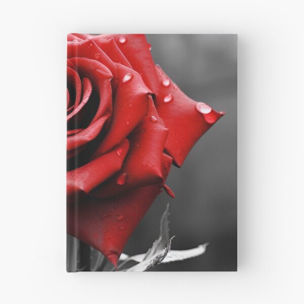 Item preview, Gray scale photo with stunning red rose designed and sold by dcrc.
