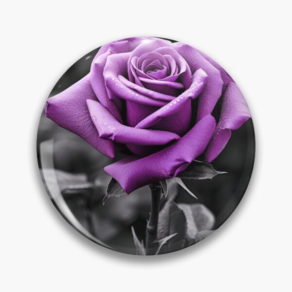 Item preview, gray scale photo with stunning purple rose designed and sold by dcrc.