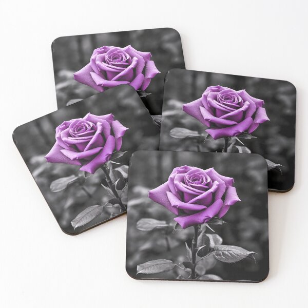 Item preview, gray scale photo with stunning purple rose designed and sold by dcrc.