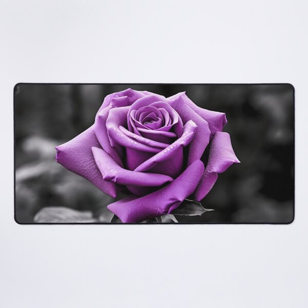 Item preview, gray scale photo with stunning purple rose designed and sold by dcrc.