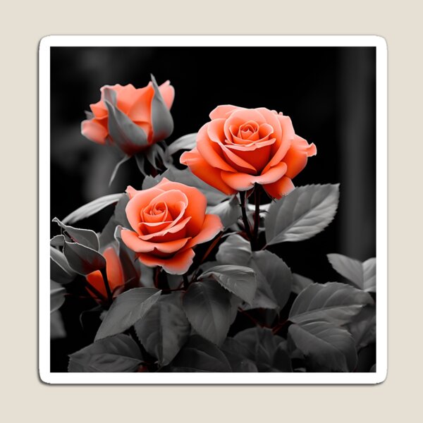 Item preview, gray scale photo with stunning orange rose designed and sold by dcrc.