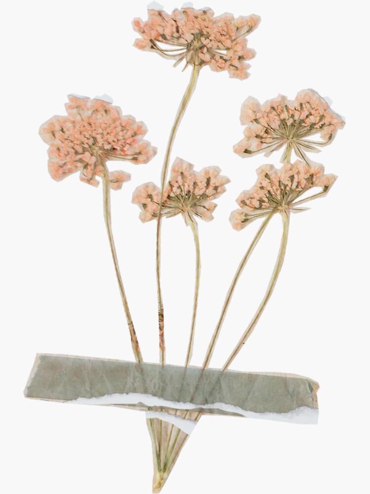 Vintage Tape PNG Transparent, Vintage Watercolor Flowers With Tape, Vintage  Flower, Flower Bouquet, Aesthetic Flower PNG Image For Free Download