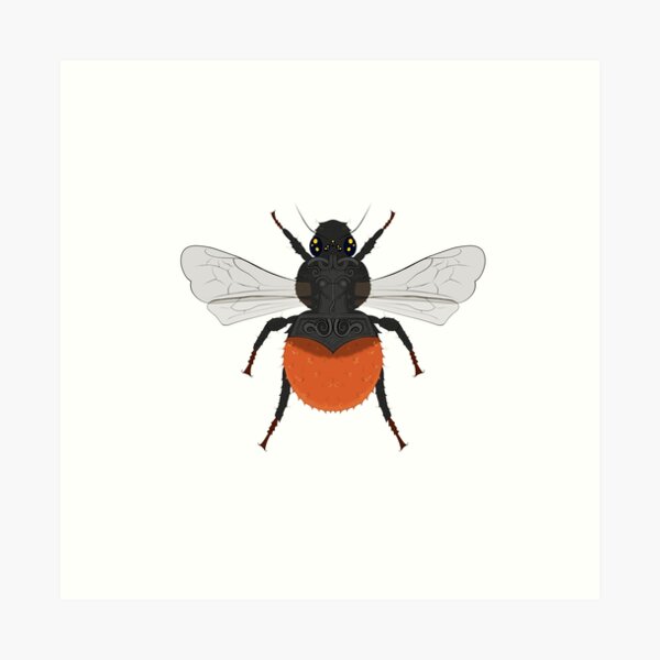 Item preview, Alpine Bumblebee (Bombus alpinus) designed and sold by amcattos.