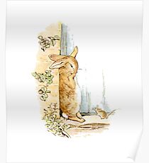 Peter Rabbit Adventure: Peter Attempting to Hide Poster
