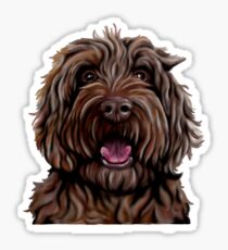 Chocolate Australian Cobberdog/Australian Labradoodle Sticker