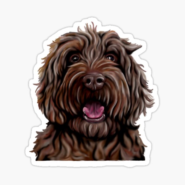 Labradoodle Stickers Redbubble