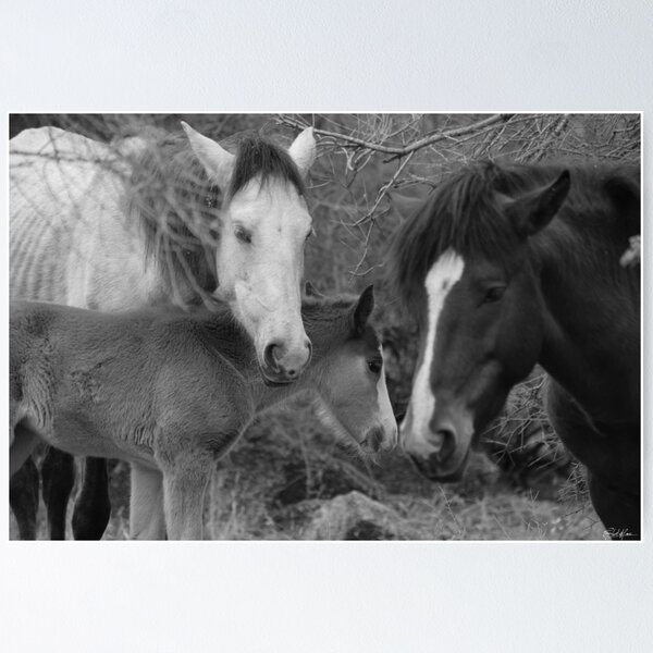 Artikelvorschau, Wir sind eine Familie entworfen und verkauft von GhostHorsePhoto.