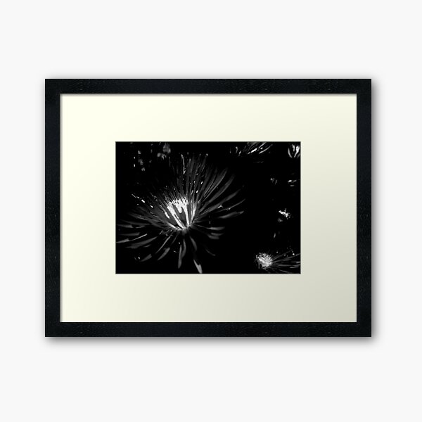 bursting to express Framed Art Print
