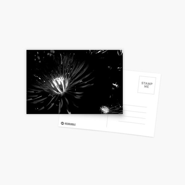 bursting to express Postcard