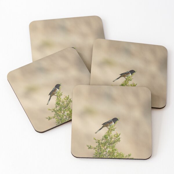 Item preview, Spotted Towhee | Badlands Natioanl Park designed and sold by TinyDinoDesigns.
