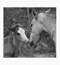 A Mother's Love Photographic Print