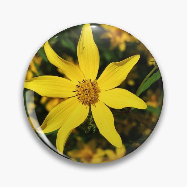 Item preview, Field Of Gold designed and sold by TwistedP-Photos.
