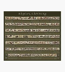 Bayeux Tapestry-Full scenes with story Photographic Print