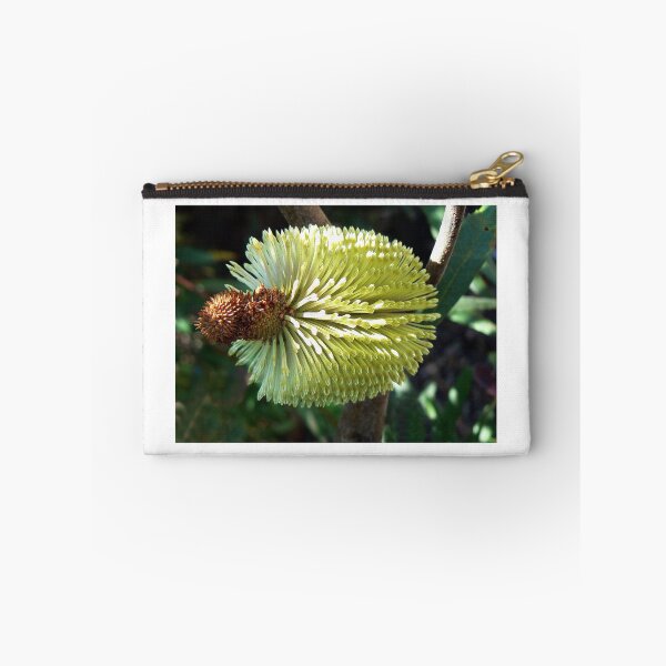 Item preview, Banksia Integrifolia designed and sold by Graeme  Hyde.