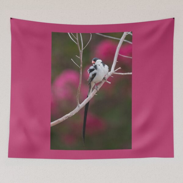 Item preview, Breeding Male Pin-tailed Whydah  designed and sold by CarolM.