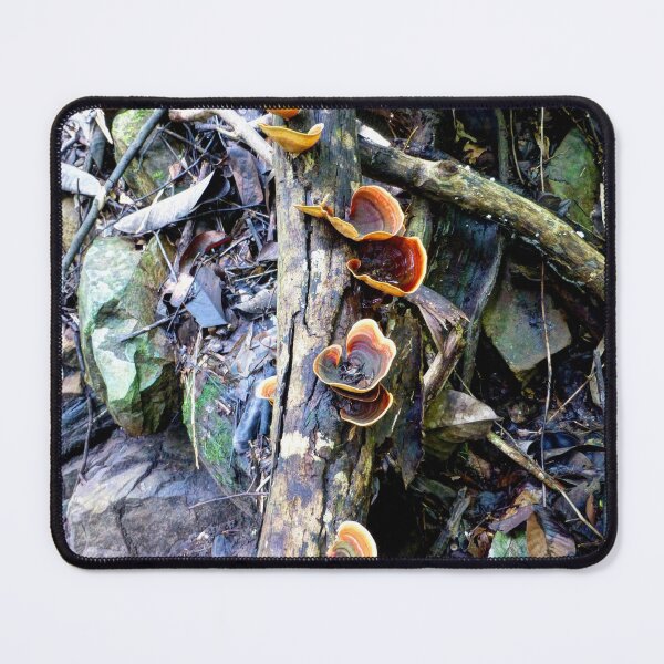 Item preview, Forest Fungi designed and sold by MadaruCreations.