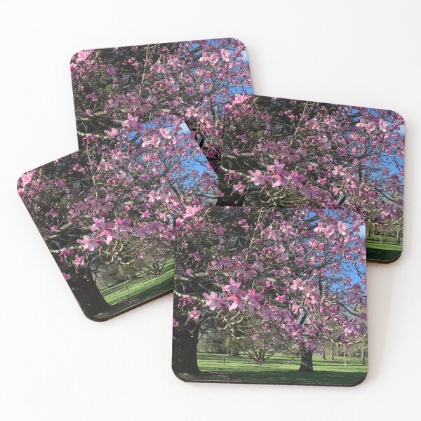 Item preview, Japanese cherry blossom Bute park Cardiff  designed and sold by Sallymally1.