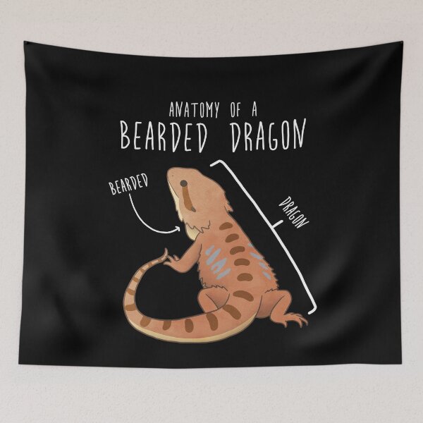 Item preview, Bearded Dragon Lizard Reptile Anatomy designed and sold by Clara Hollins.