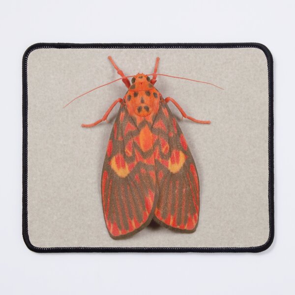 Item preview, Footman Moth designed and sold by itchydogimages.