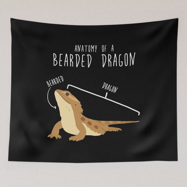 Item preview, Bearded Dragon Lizard Reptile Anatomy designed and sold by Clara Hollins.