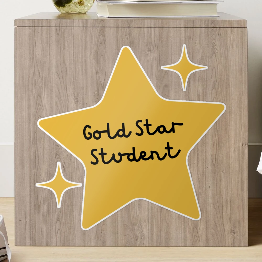 Gold Star Sticker Vinyl Sticker Laptop Sticker Decal Gift for Student  Homeschool Prize Congrats Well Done Hero OCSTICK4030 