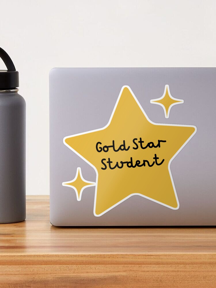 Gold Star Sticker Vinyl Sticker Laptop Sticker Decal Gift for Student  Homeschool Prize Congrats Well Done Hero OCSTICK4030 