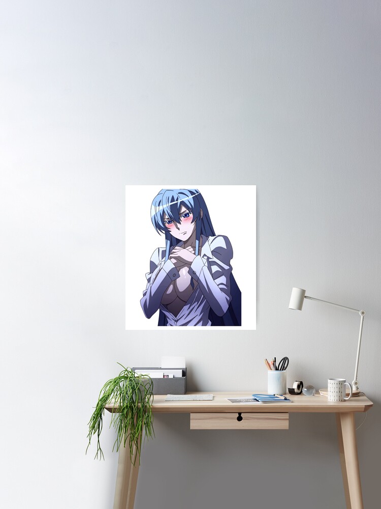 Akame ga Kill Esdeath Propaganda Poster