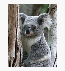 Aussie Icon Photographic Print