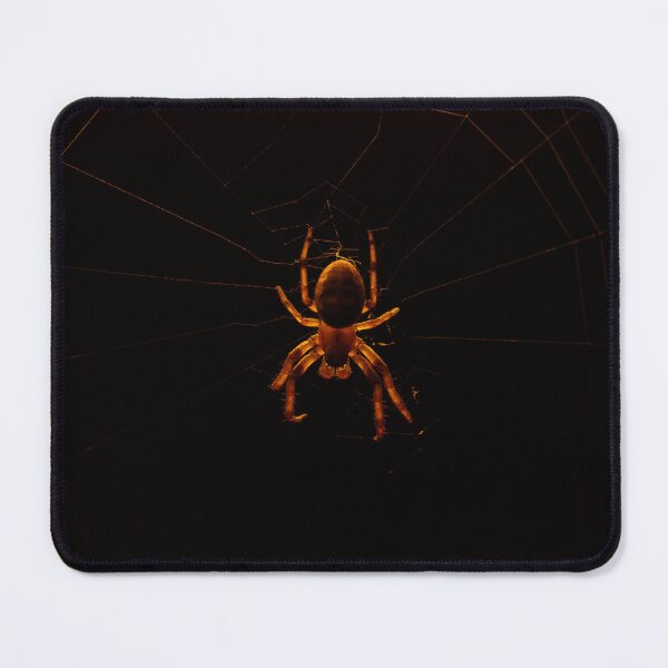 Aperçu de l'œuvre Araignée Orb-Weaver Sillon - Arachnide créée et vendue par HectorCantres.