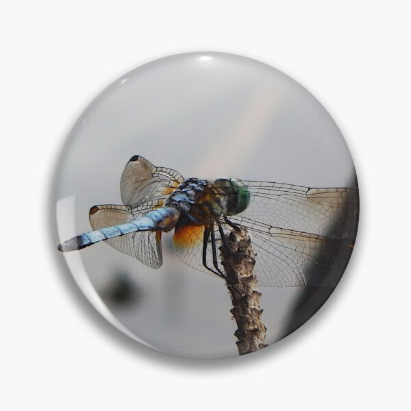 Item preview, Light blue dragonfly from right rear on pine twig designed and sold by gistinker.