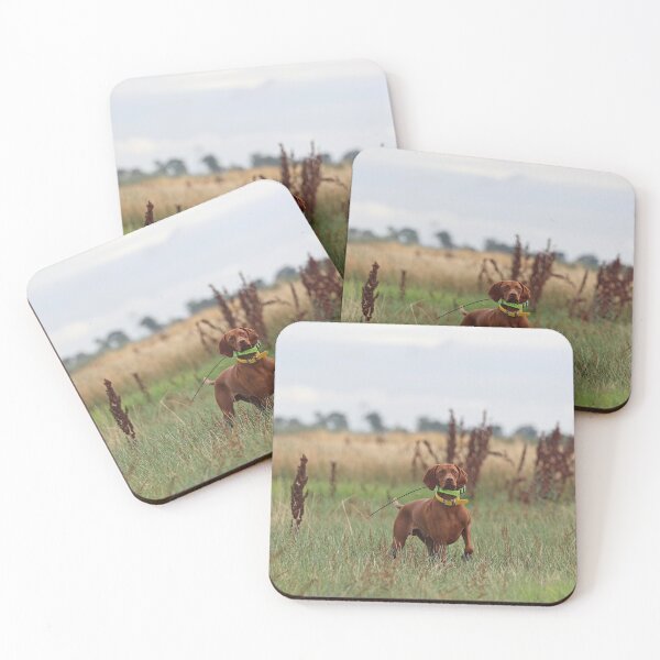 Item preview, Vizsla Ripley on point designed and sold by Wigglebutt.