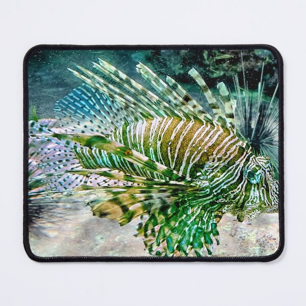 Item preview, The Lionfish Look but Don't Touch designed and sold by John  Kapusta.