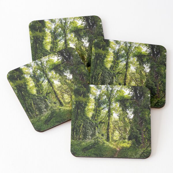 Item preview, Dense Forest Trail designed and sold by bjtomiko.