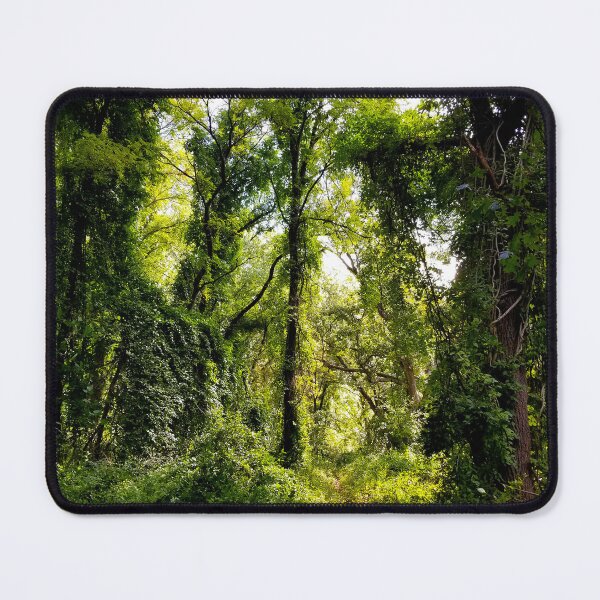 Item preview, Dense Forest Trail designed and sold by bjtomiko.