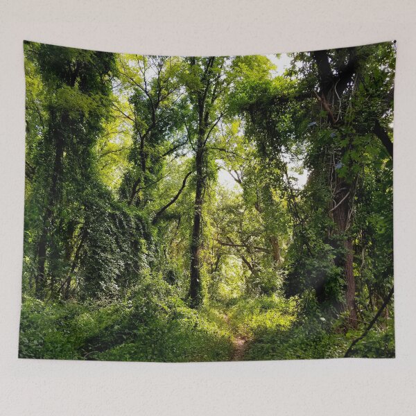 Item preview, Dense Forest Trail designed and sold by bjtomiko.