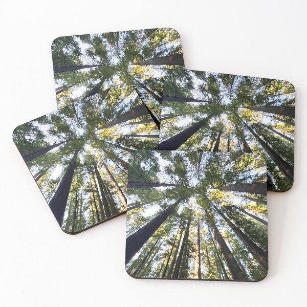 Item preview, Ceiling of the Redwood Forest designed and sold by nickelbuchy.