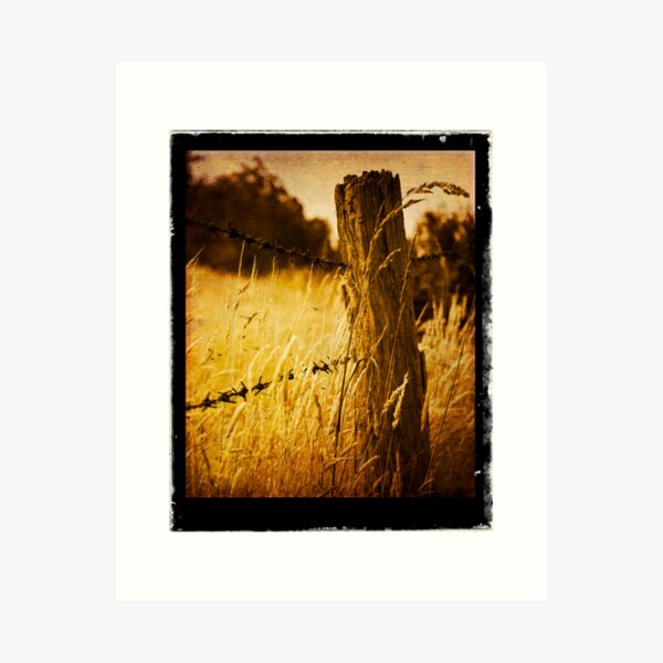 Harvest Art Print