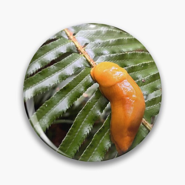 Item preview, Banana Slug Hanging out in the Redwood Forest designed and sold by nickelbuchy.